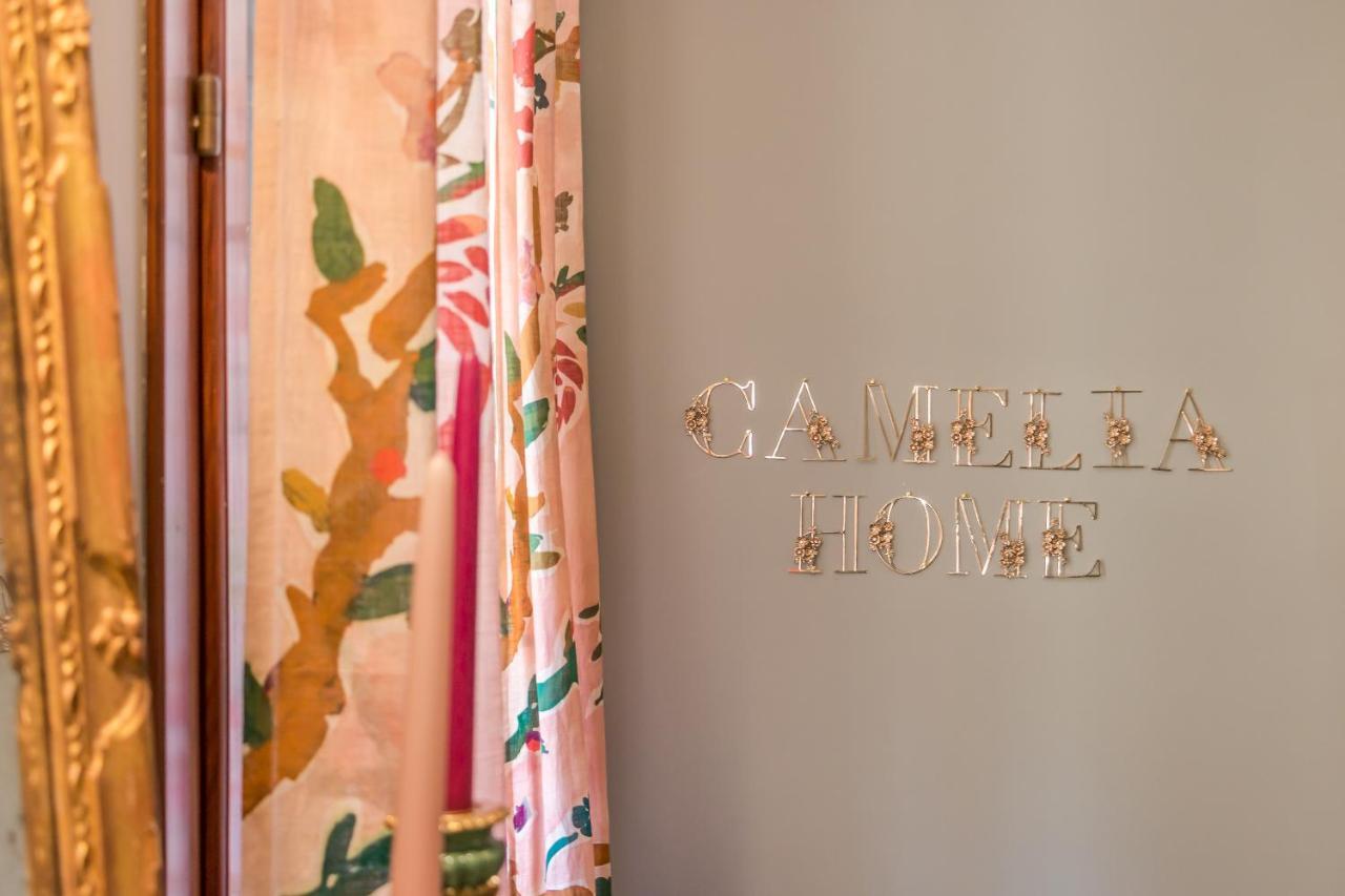 Camelia Home Suite تريفيزو المظهر الخارجي الصورة